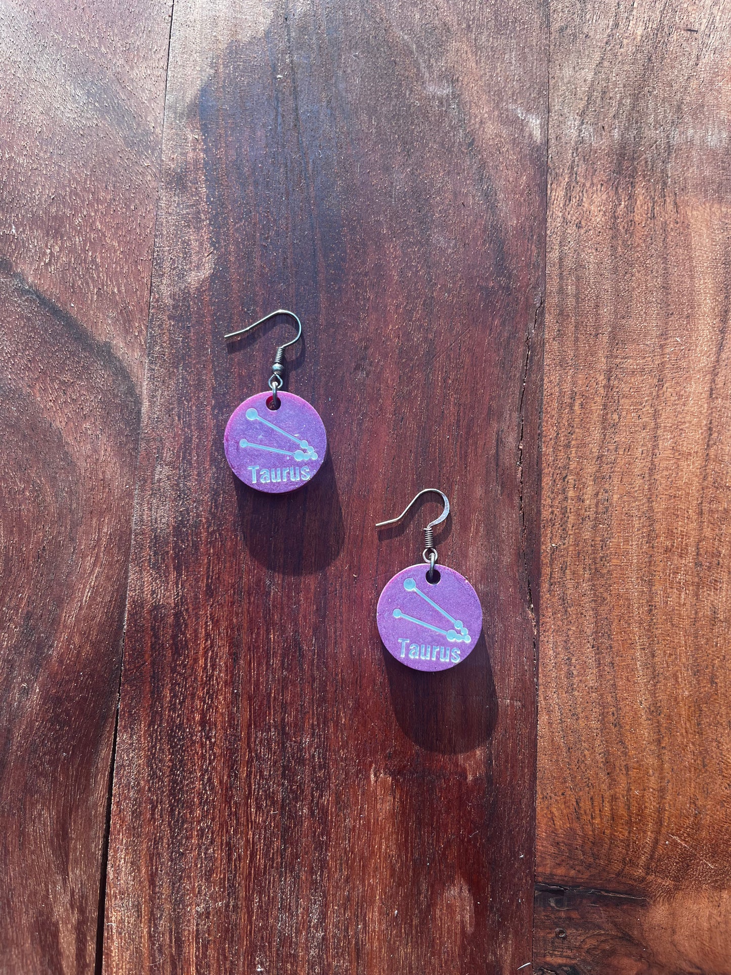 Zodiac Sign Earrings