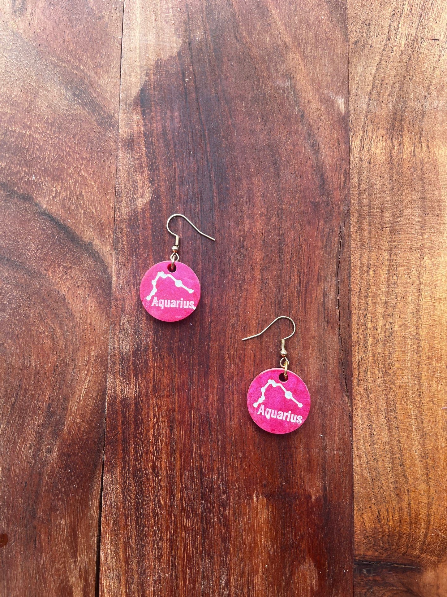 Zodiac Sign Earrings