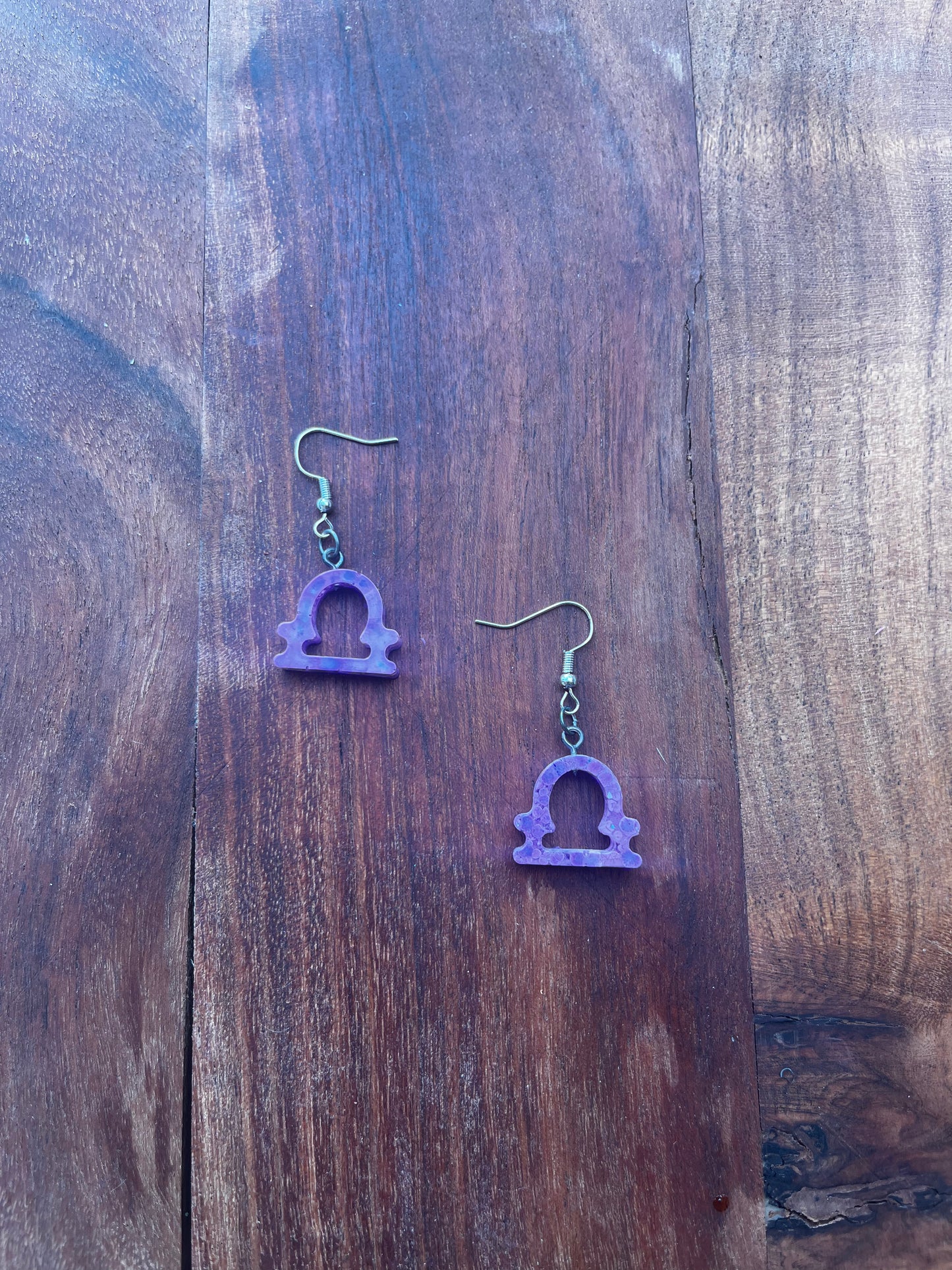 Zodiac Sign Earrings