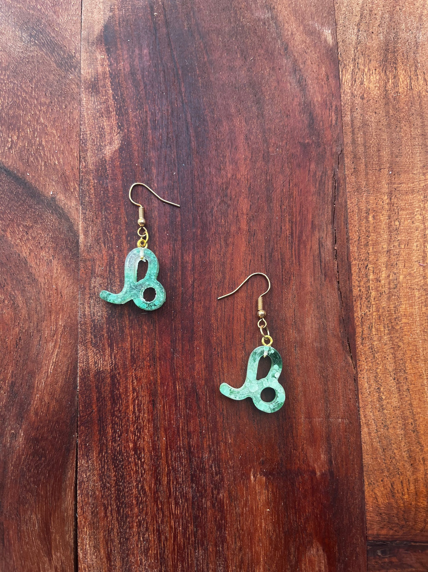 Zodiac Sign Earrings