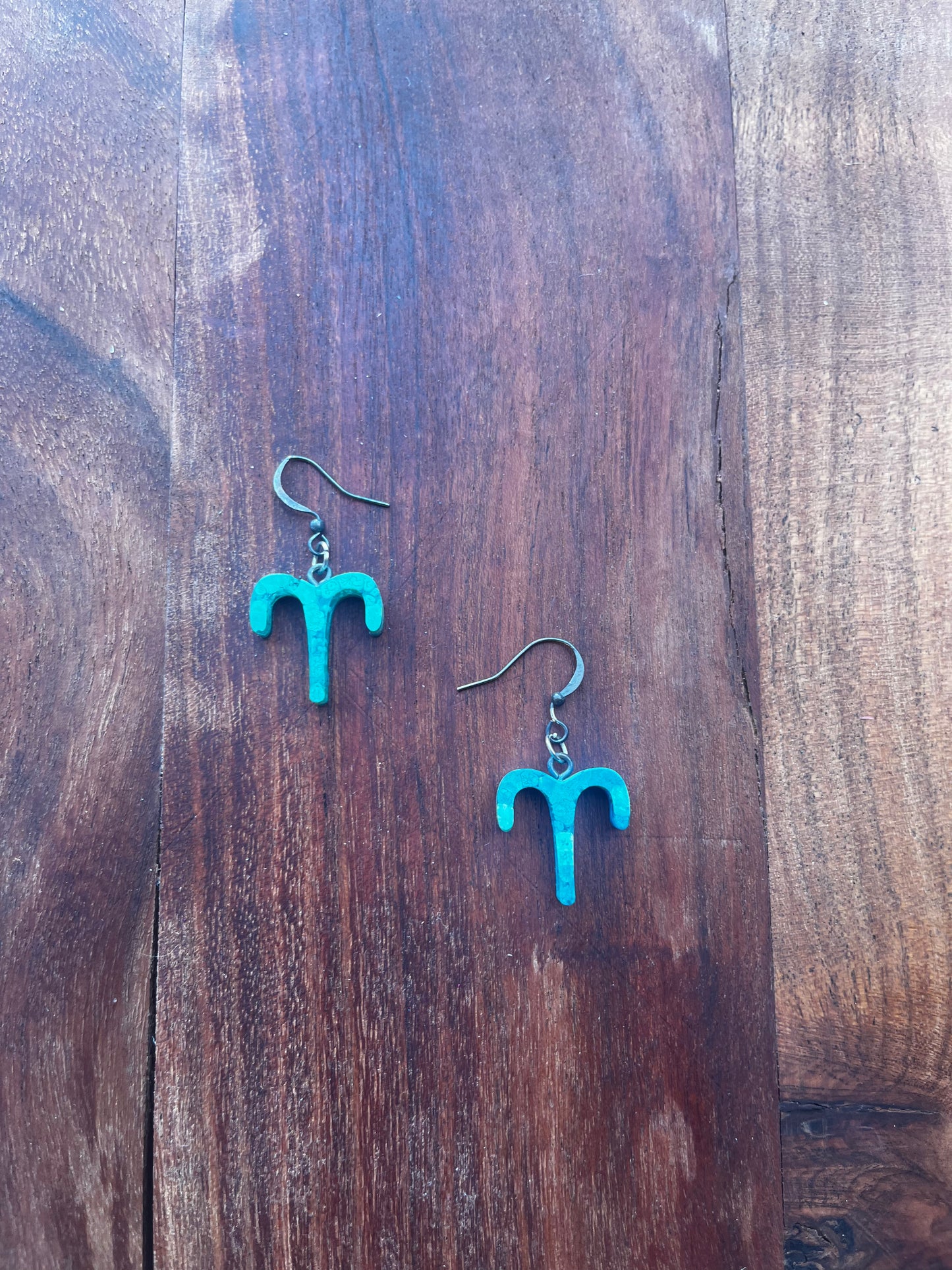 Zodiac Sign Earrings