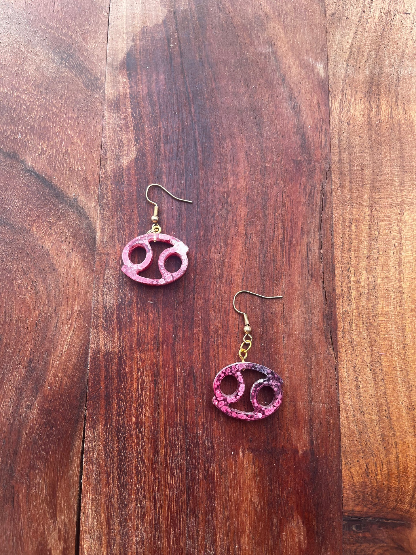 Zodiac Sign Earrings